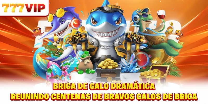 Briga de galo dramática - Reunindo centenas de bravos galos de briga