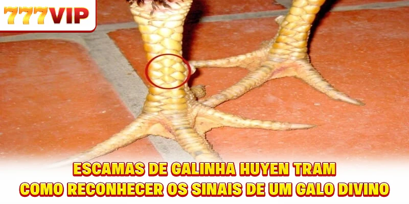 Estratégia de seleção de números ao participar da loteria OK Northern