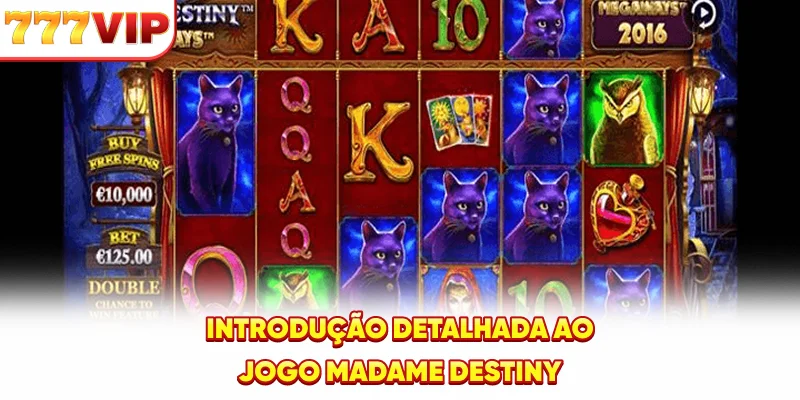 Introdução detalhada ao jogo Madame Destiny